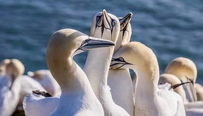 重庆市市长胡衡华被查：曾和易炼红“搭班子”，4天前最后一次露面