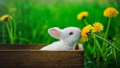 599元一双，山东一母亲带女儿买鞋，在店门口犹豫半小时，最终咬牙买下：如果我不买，心里会特别愧疚