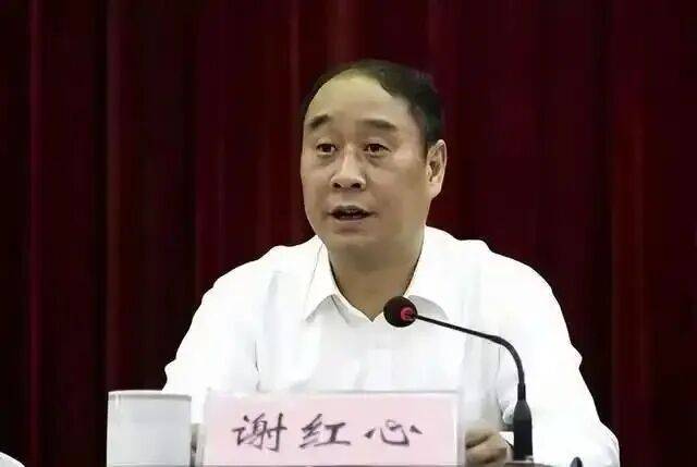 安徽省马鞍山市人大常委会原副主任谢红心被提起公诉