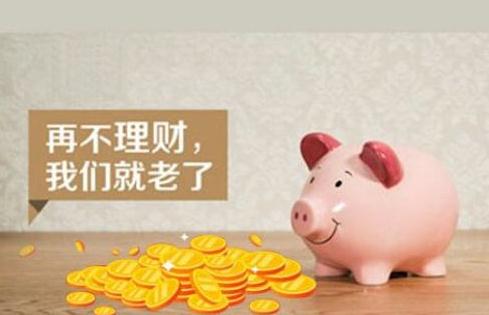 口袋理财(口袋理财官网)