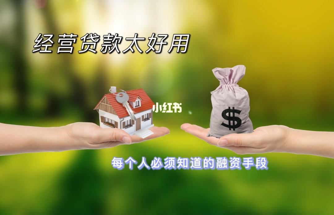 理财贷(理财贷款是什么意思)