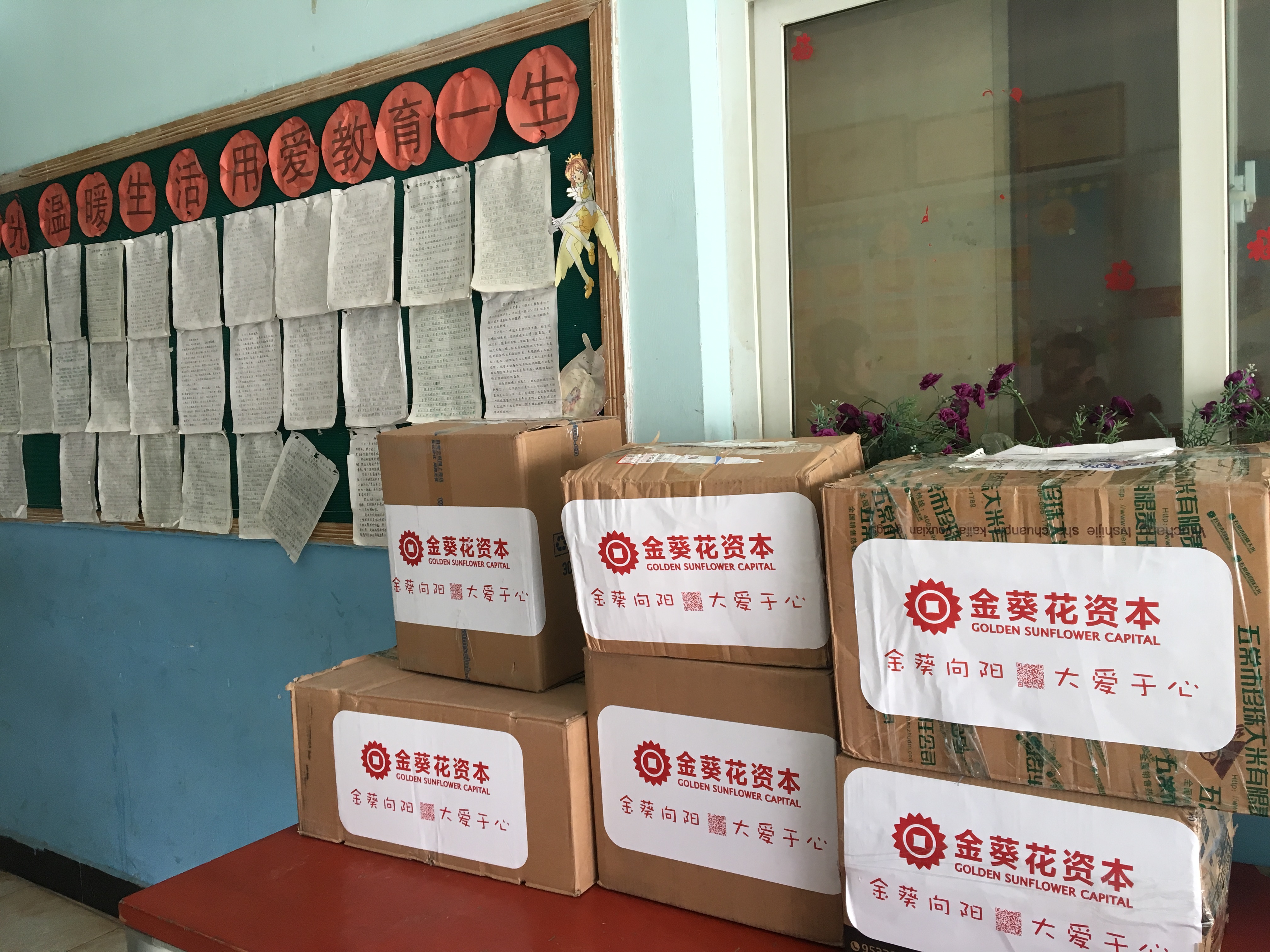 金葵花理财(金葵花理财怎么样)