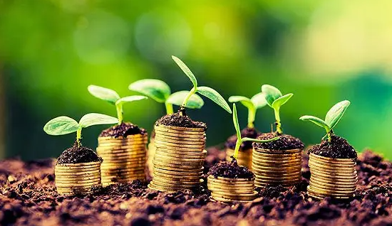 理财人(理财人贷款啥意思)