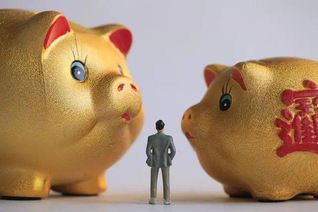 保险理财(保险理财风险高于银行理财)